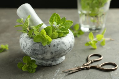 Photo of Mortar with sprigs of fresh green oregano and scissors on gray textured table, closeup