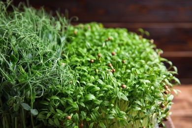 Photo of Assortment of fresh organic microgreens, closeup view