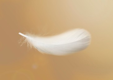 Image of Fluffy bird feather falling on golden background