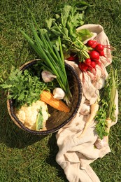 Photo of Different tasty vegetables and herbs on green grass outdoors, top view