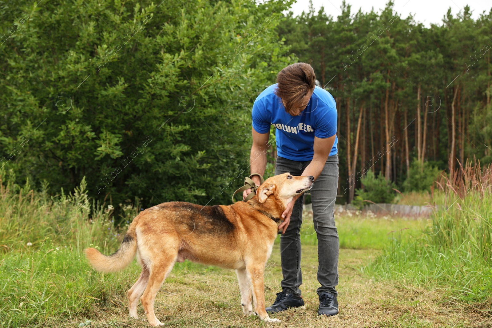 Photo of Male volunteer with homeless dog at animal shelter outdoors