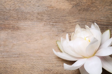 Beautiful blooming white lotus flower on wooden table, top view. Space for text