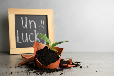 Photo of Blackboard with word UNLUCKY and plant in broken pot on grey stone table, space for text