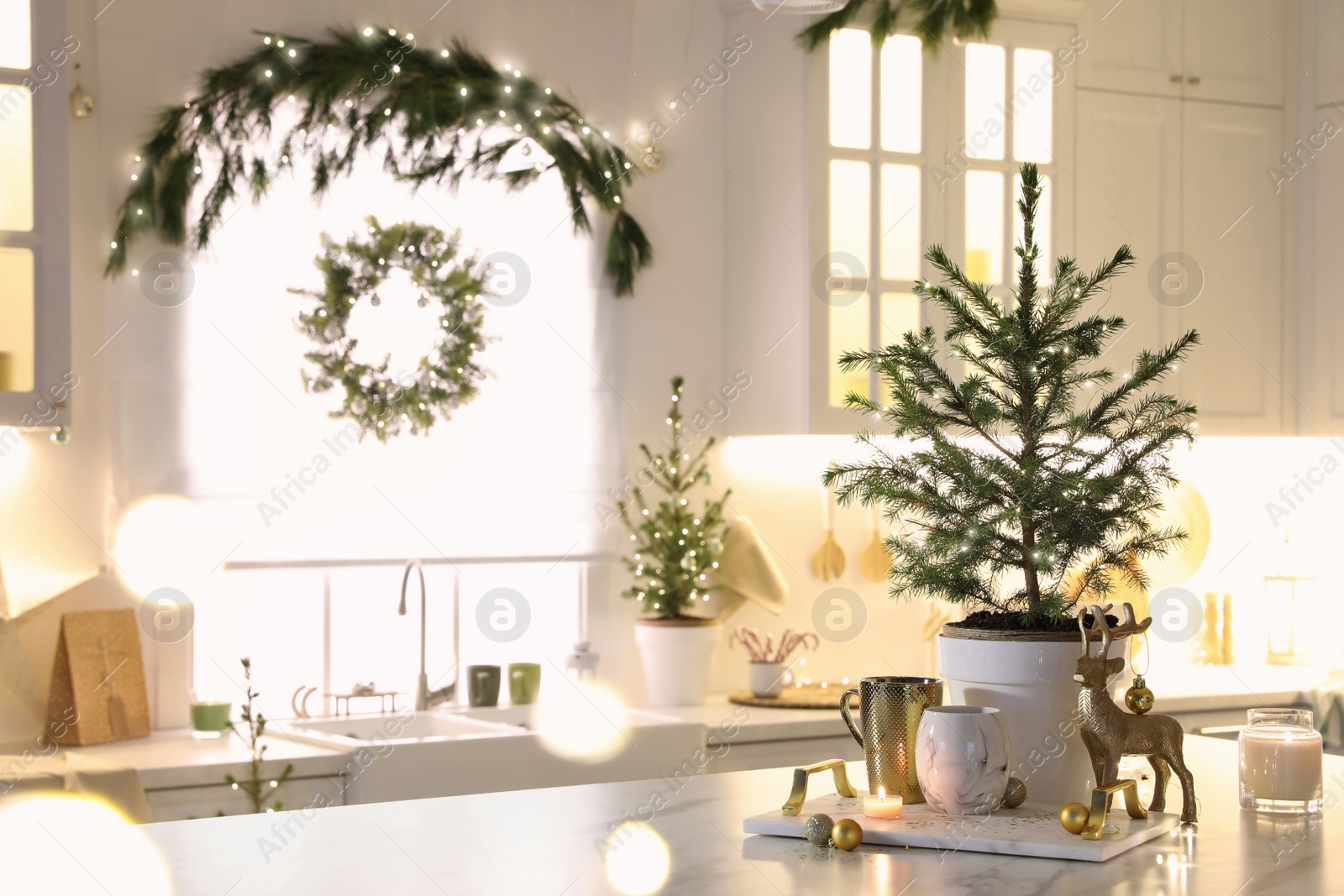 Photo of Small Christmas trees and festive decor in kitchen