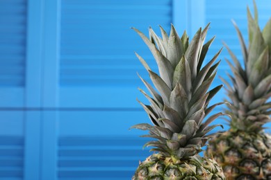 Photo of Delicious ripe pineapples against blue wall, closeup. Space for text