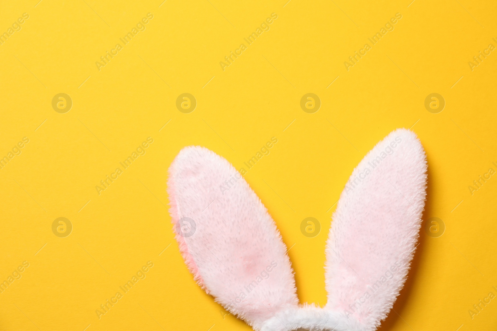 Photo of Funny Easter bunny ears on color background, top view with space for text