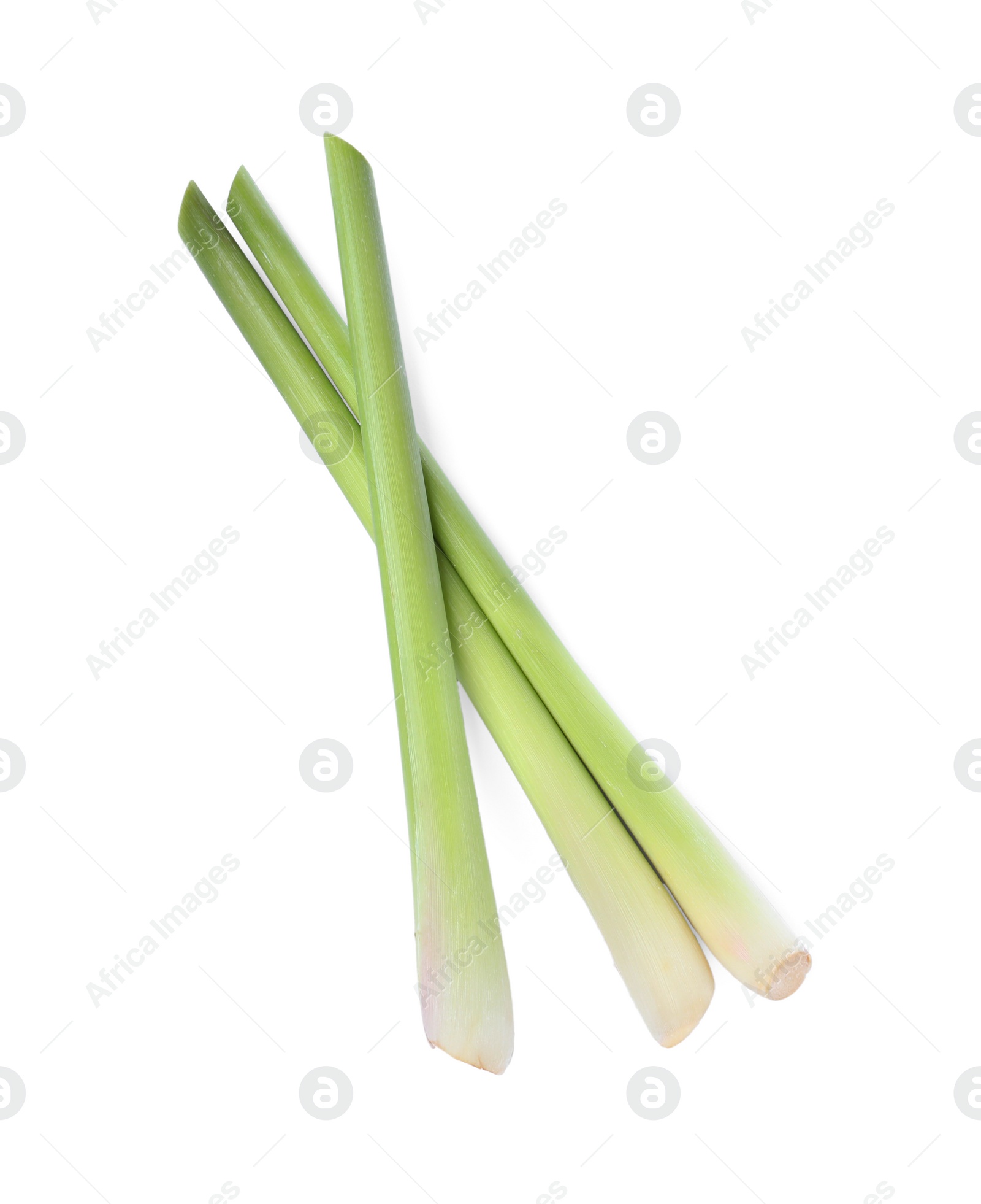 Photo of Fresh aromatic lemongrass stalks on white background, top view