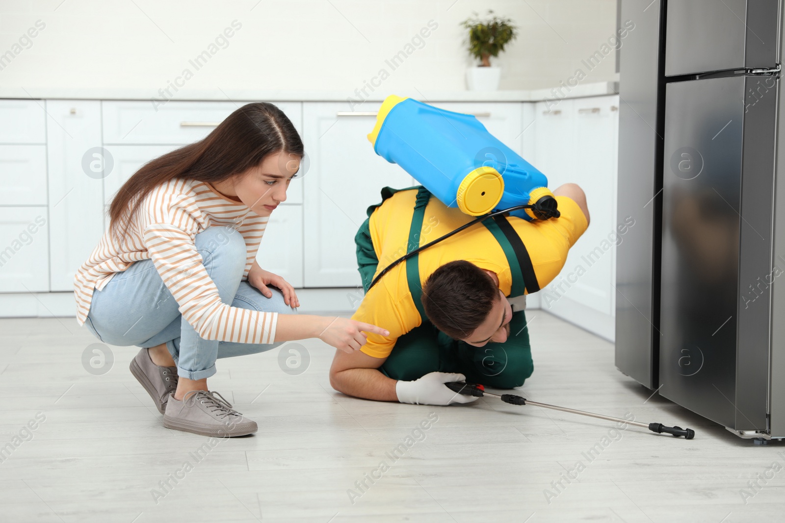 Photo of Woman showing insect traces to pest control worker in kitchen