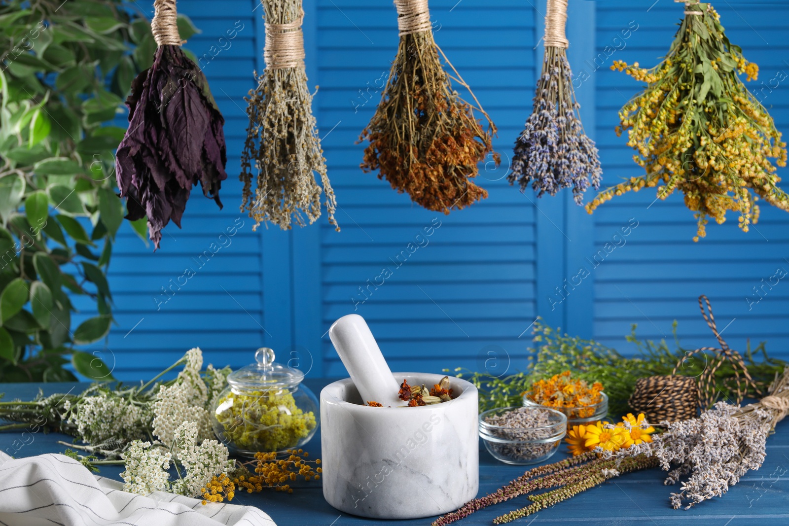 Photo of Mortar with pestle and many different herbs on blue wooden table