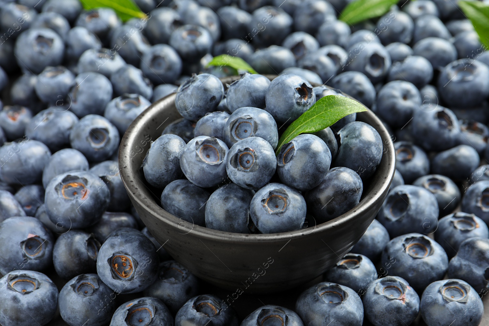 Photo of Tasty fresh blueberries and bowl, closeup view