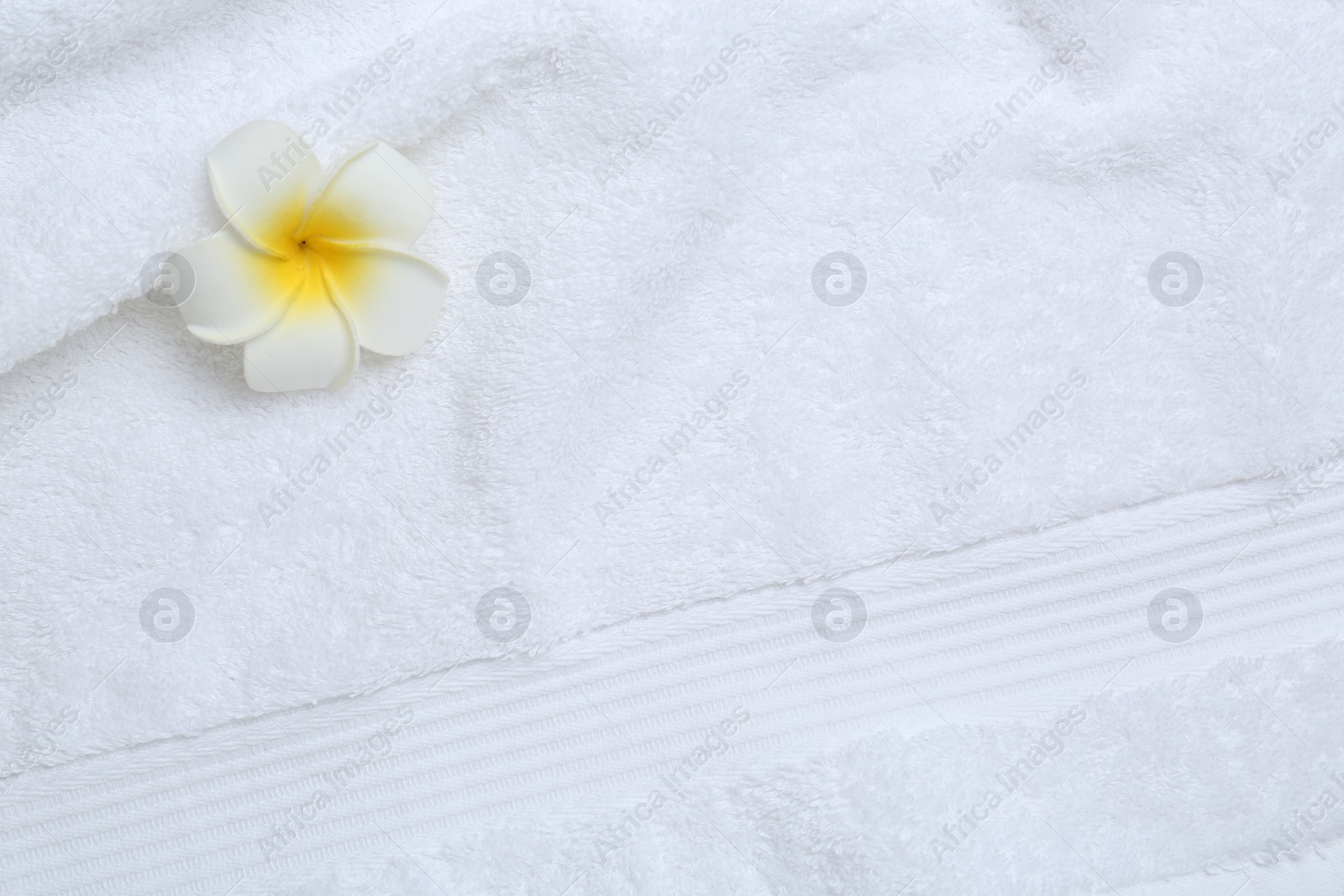 Photo of Plumeria flower on white terry towel, top view. Space for text