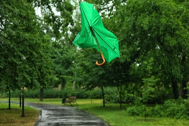 Broken green umbrella in park on rainy day