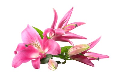 Photo of Beautiful pink lily flowers isolated on white