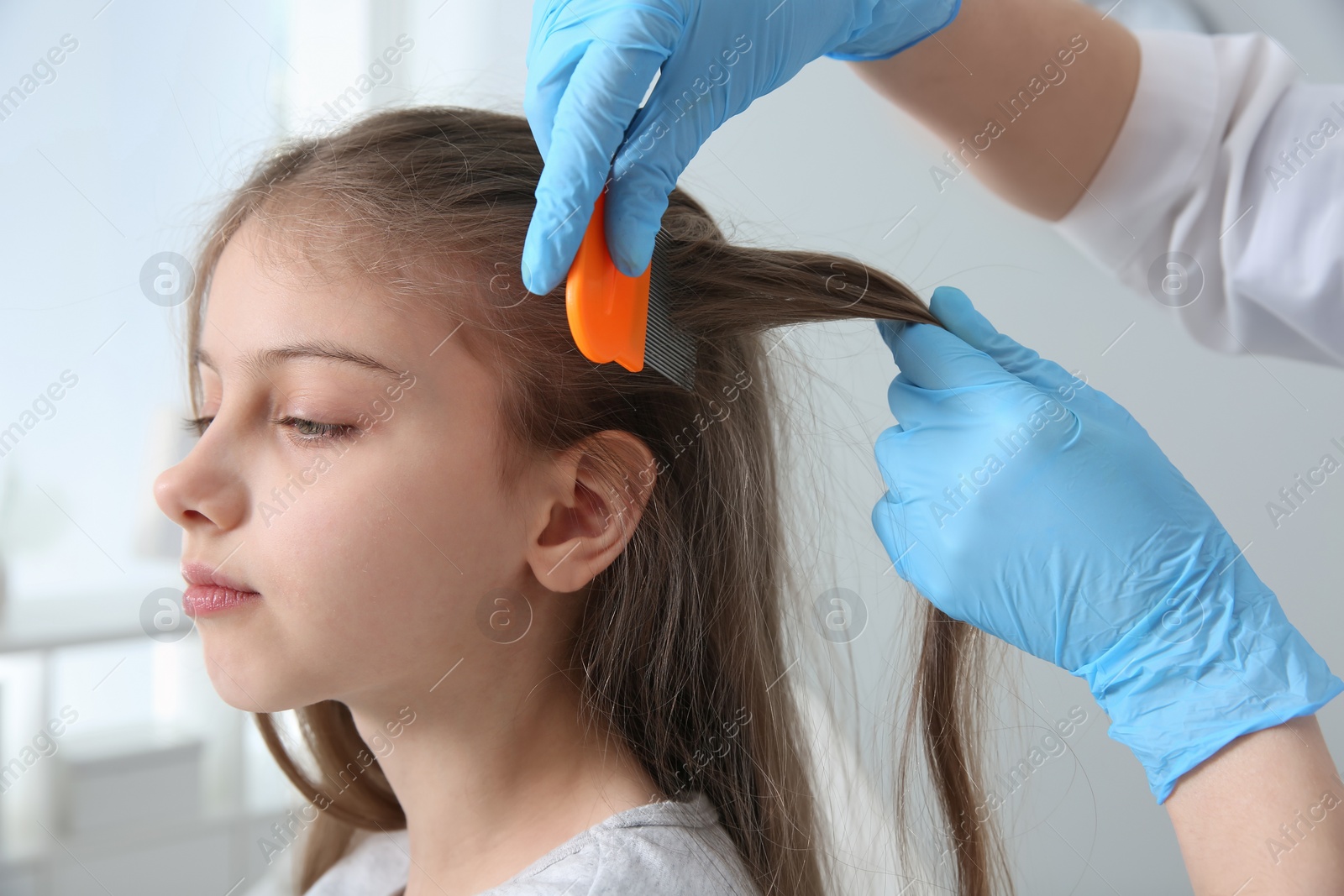 Photo of Doctor using nit comb on girl's hair in clinic. Anti lice treatment