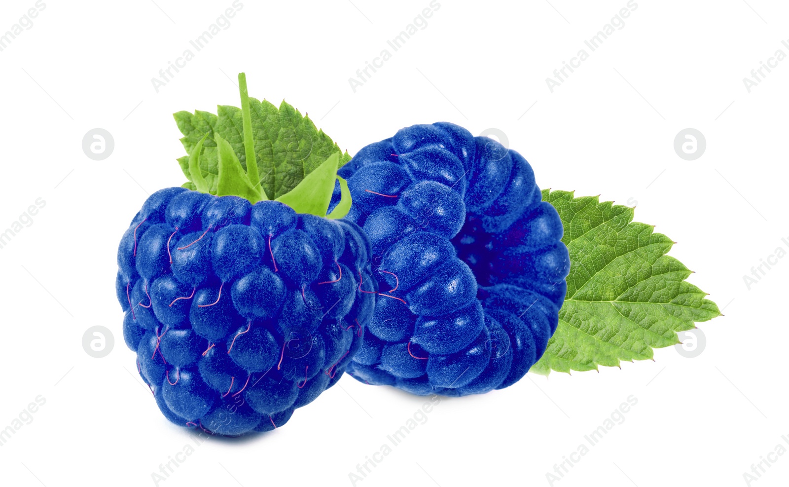 Image of Fresh blue raspberries and green leaves isolated on white