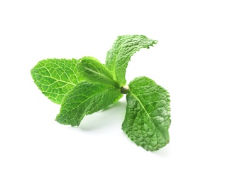 Photo of Branch of fresh mint isolated on white