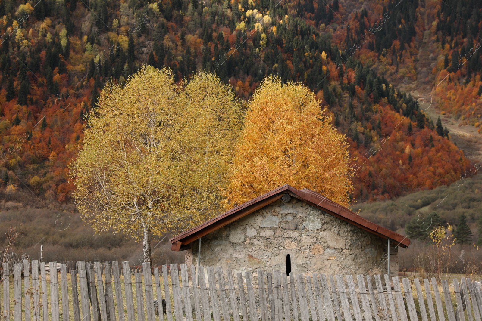 Photo of Picturesque view of house in mountains with forest on autumn day