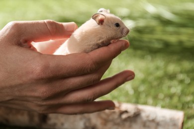 Woman with cute little hamster outdoors, closeup. Space for text