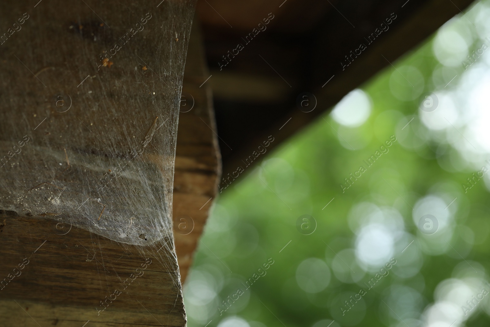 Photo of Cobweb on wooden building outdoors, closeup. Space for text