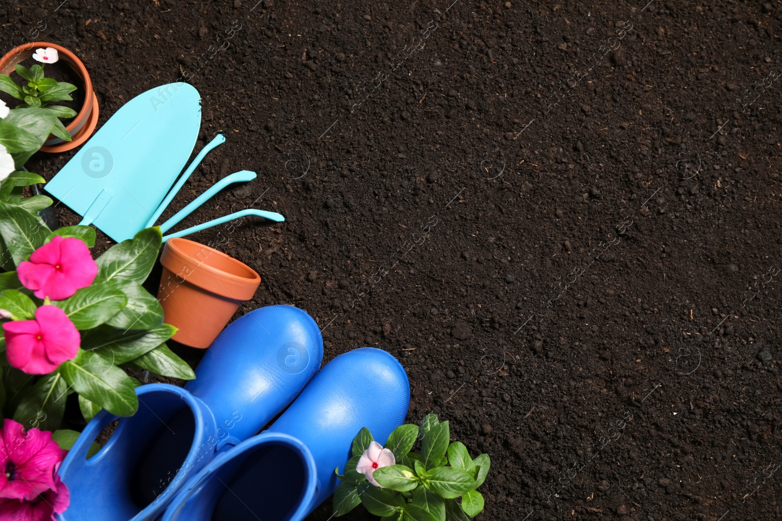 Photo of Flat lay composition with gardening equipment and flowers on soil, space for text