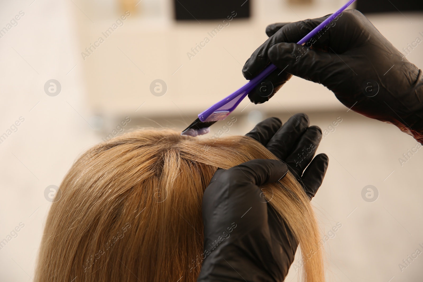 Photo of Professional hairdresser dying hair in beauty salon, closeup