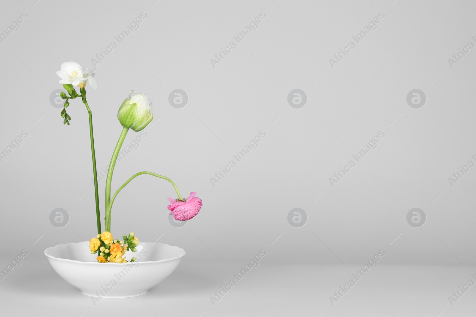 Photo of Stylish ikebana as house decor. Beautiful fresh flowers on white background, space for text