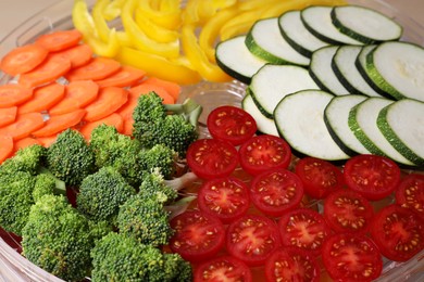 Photo of Cut vegetables on fruit dehydrator machine tray, closeup