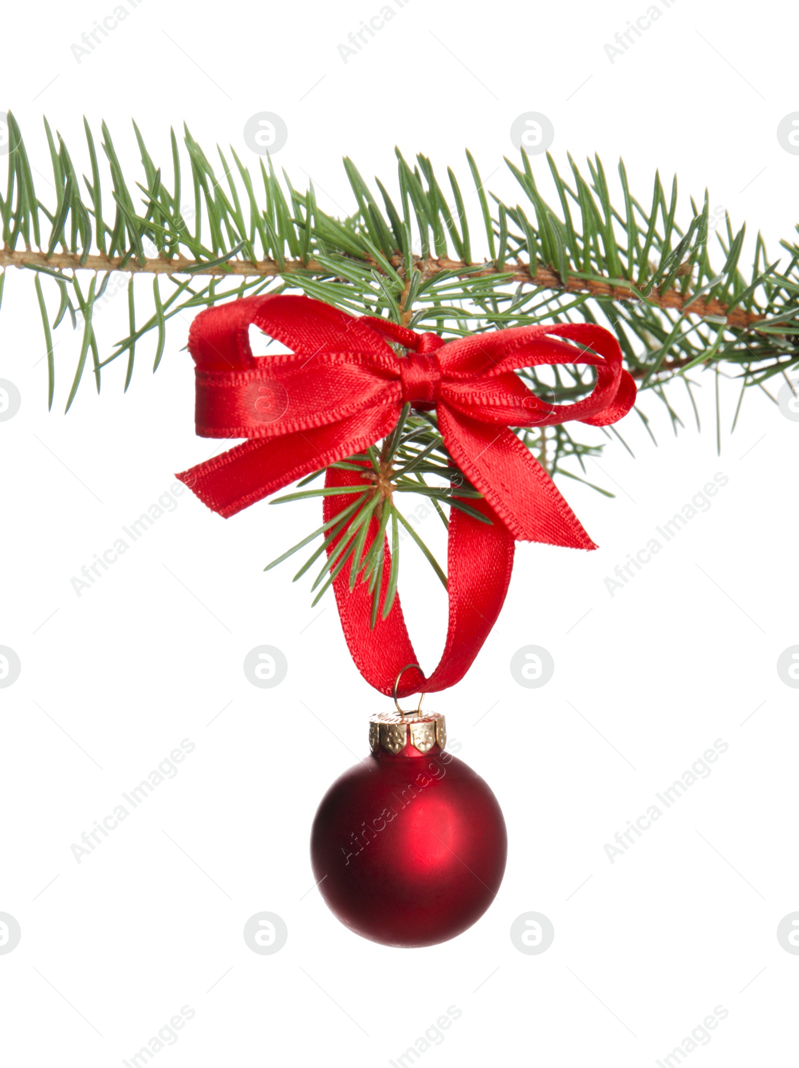 Photo of Christmas tree branch with ball on white background