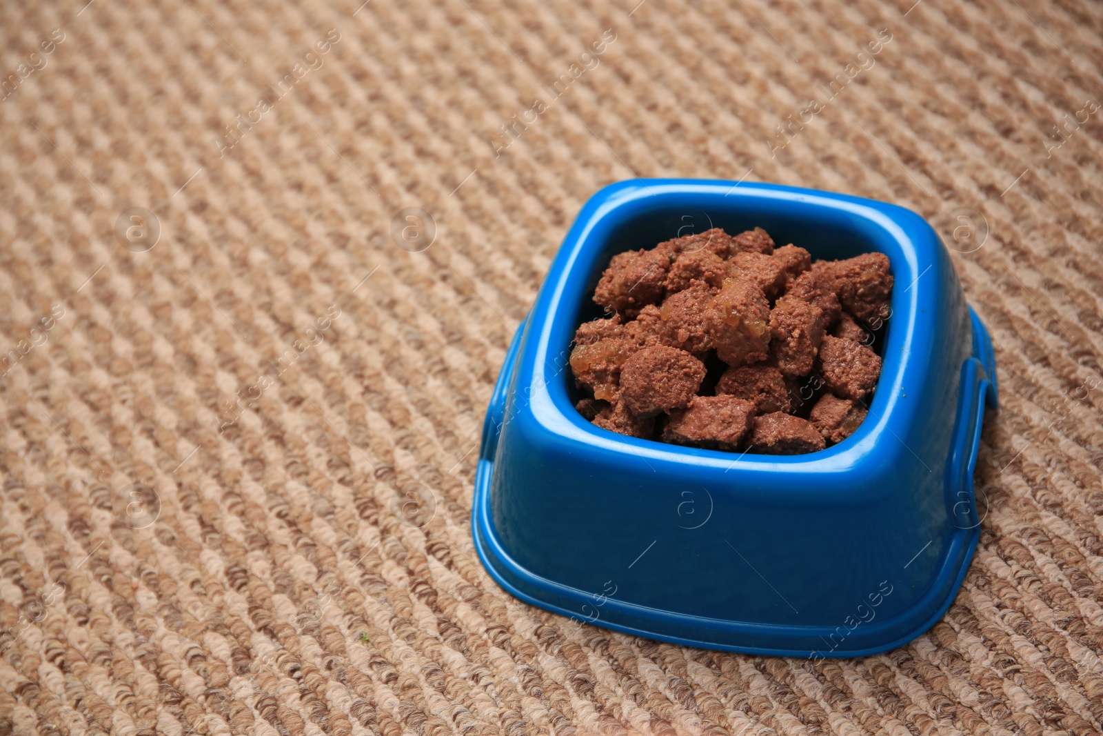 Photo of Wet pet food in feeding bowl on soft carpet. Space for text