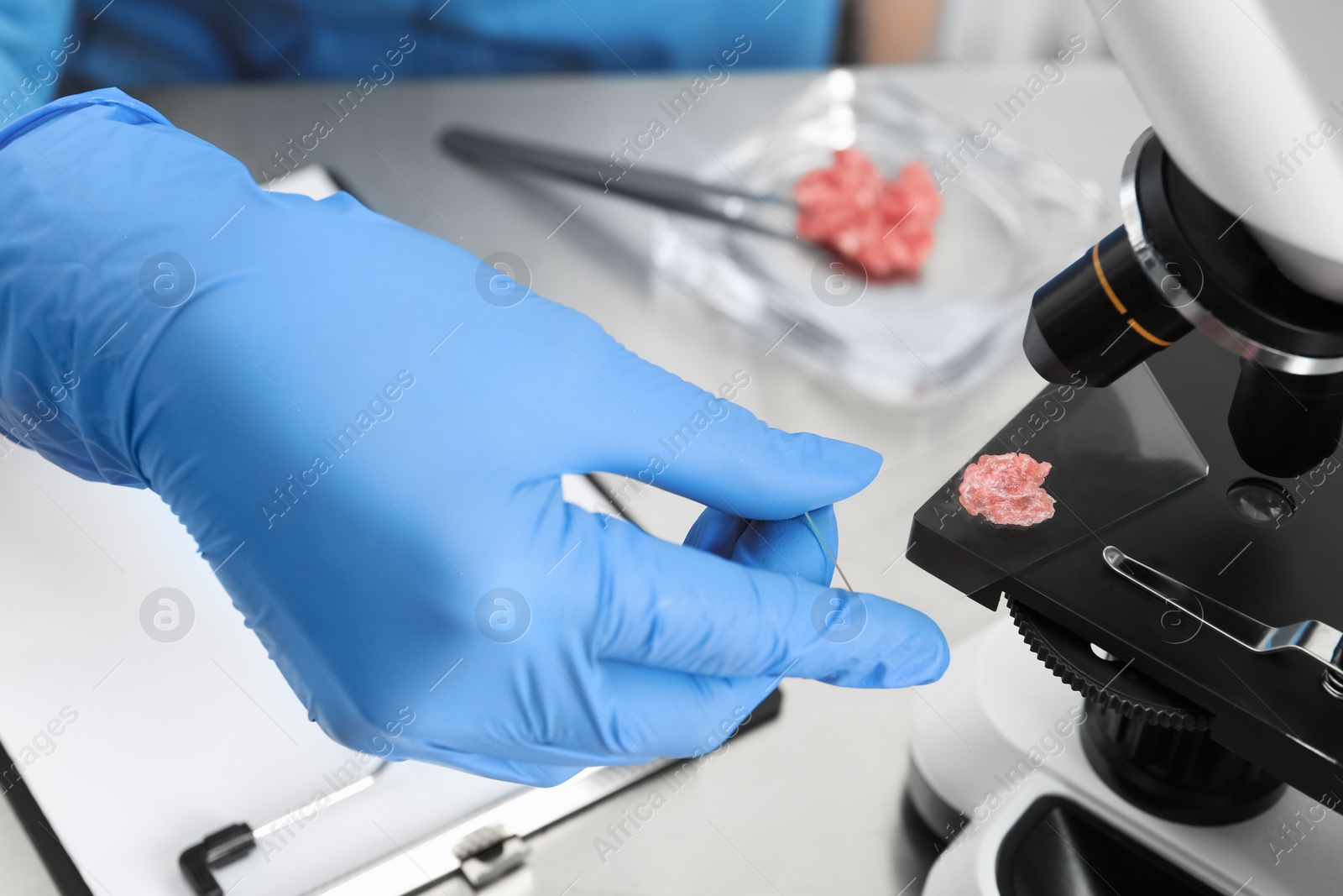 Photo of Scientist checking meat at table in laboratory, closeup. Quality control