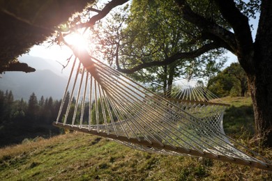 Comfortable net hammock outdoors on sunny day