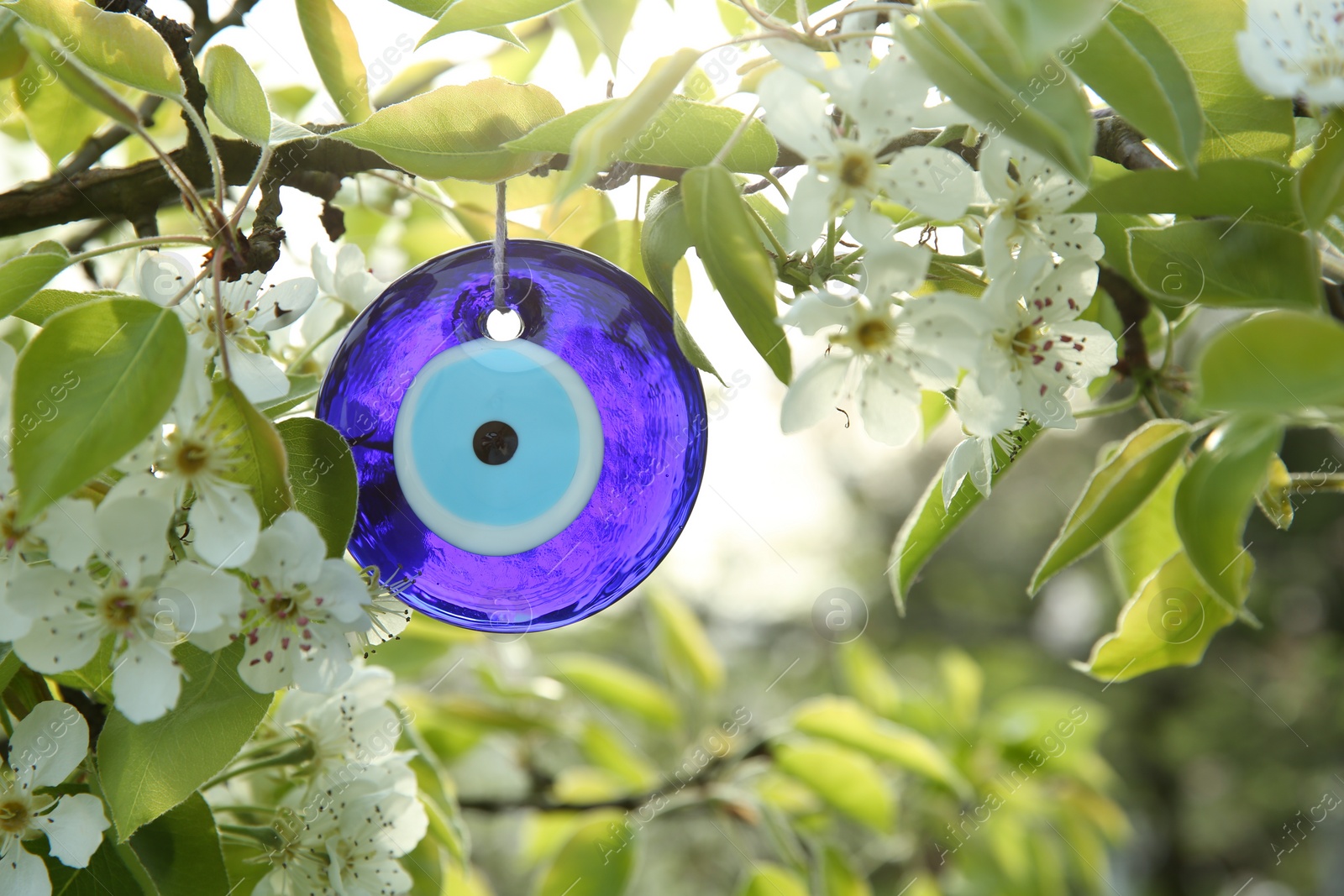 Photo of Evil eye amulet hanging on blossoming spring tree outdoors, closeup. Space for text