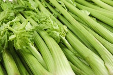 Fresh ripe green celery as background, closeup