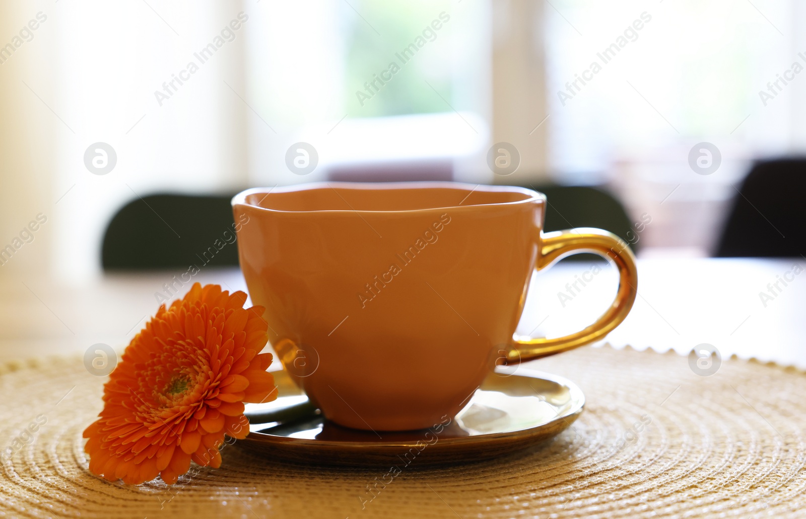 Photo of Cup of delicious chamomile tea and fresh calendula flower on table in room, closeup