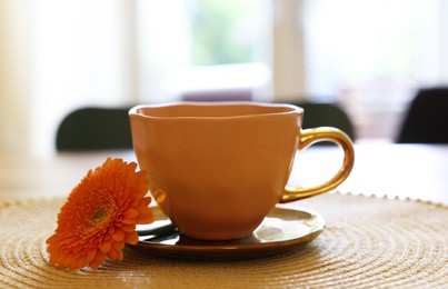 Photo of Cup of delicious chamomile tea and fresh calendula flower on table in room, closeup