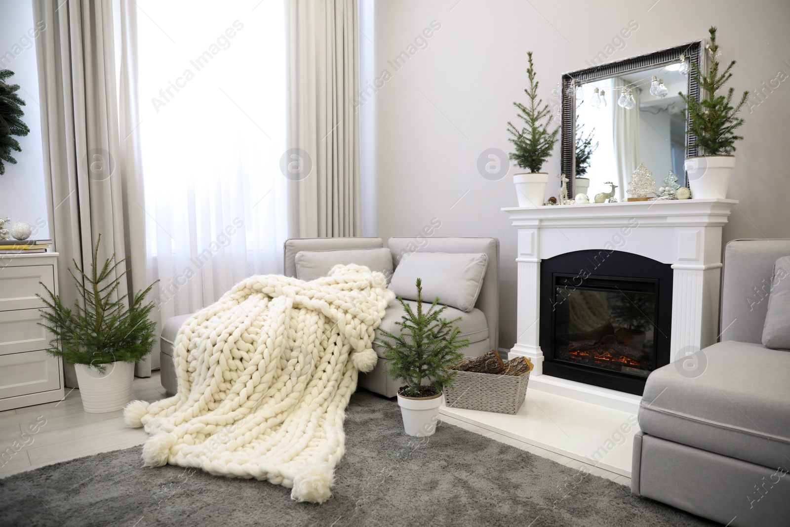 Photo of Stylish living room interior with little fir trees and Christmas decorations