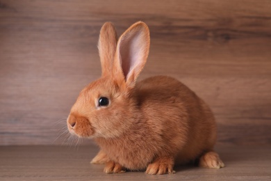 Cute bunny on table against wooden background. Easter symbol