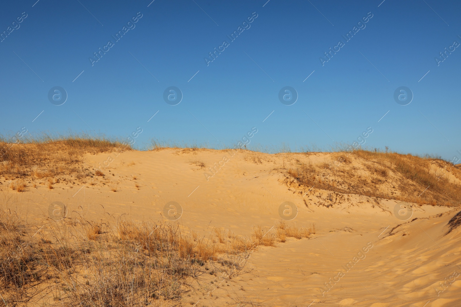 Photo of Picturesque view of desert on sunny day