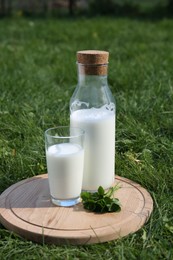 Glass and bottle of milk on wooden board outdoors