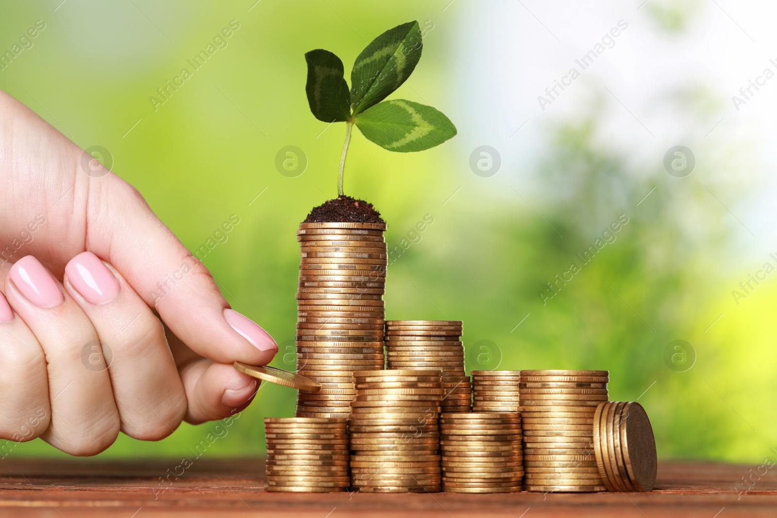 Photo of Woman putting coin onto stack with green sprout at wooden table against blurred background, closeup. Investment concept