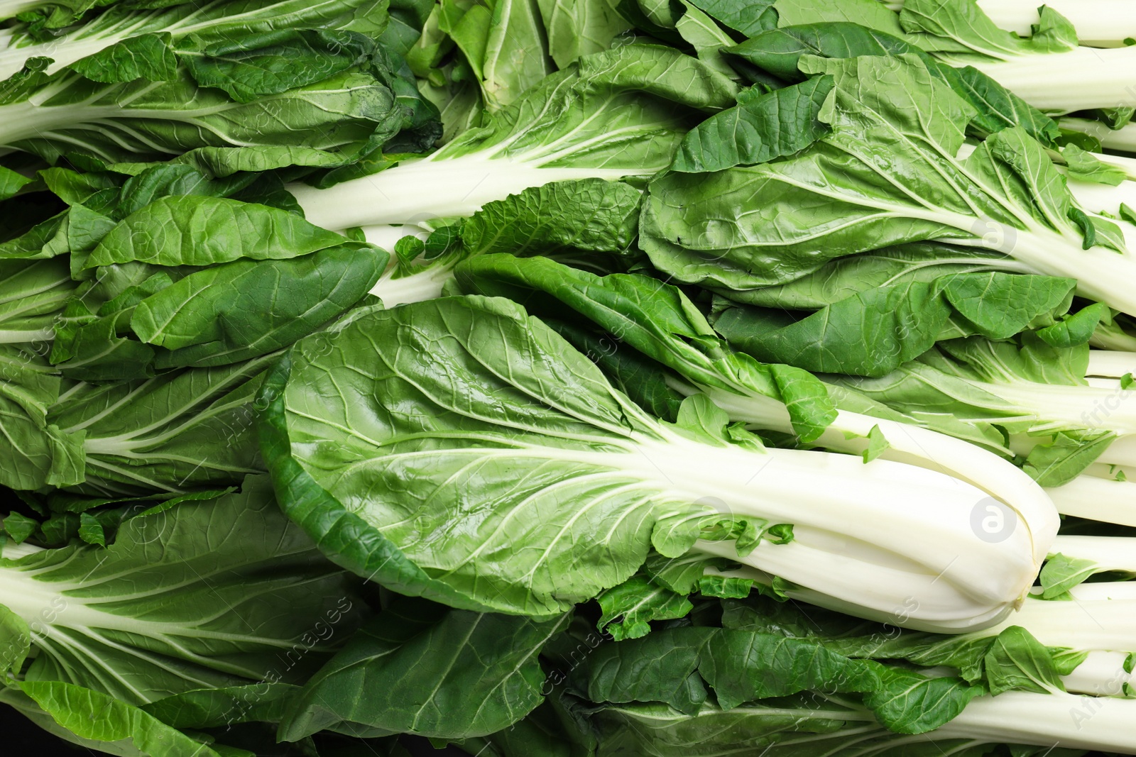 Photo of Fresh green pak choy cabbages as background, top view