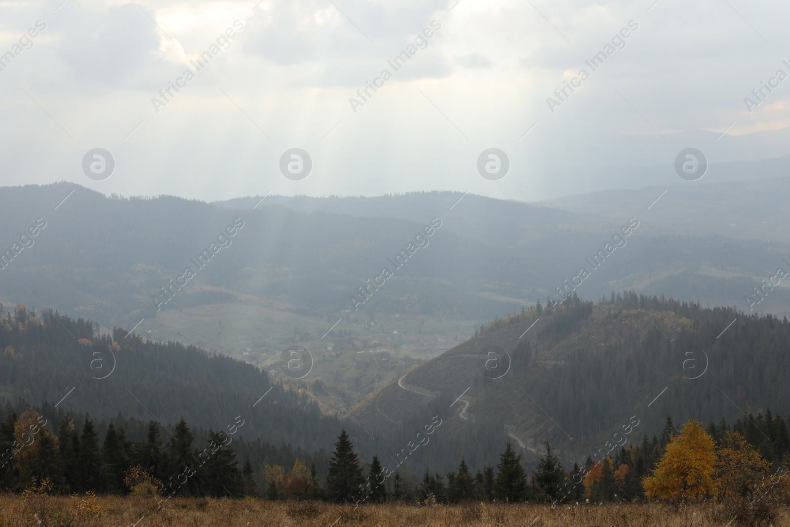 Photo of Beautiful landscape with forest in mountains on autumn day