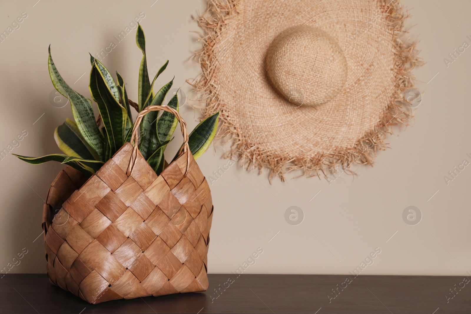 Photo of Stylish wicker basket with green plant on wooden table indoors