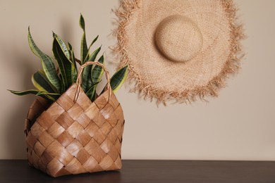 Stylish wicker basket with green plant on wooden table indoors