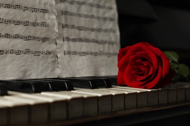 Beautiful red rose and musical notes on piano, space for text
