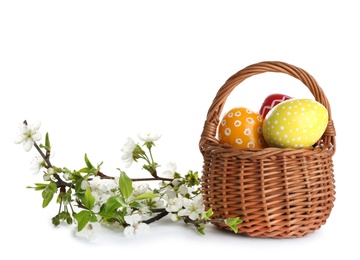 Photo of Painted Easter eggs in wicker basket and blossoming branches on white background