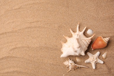 Photo of Beautiful sea star and shells on sand, flat lay. Space for text