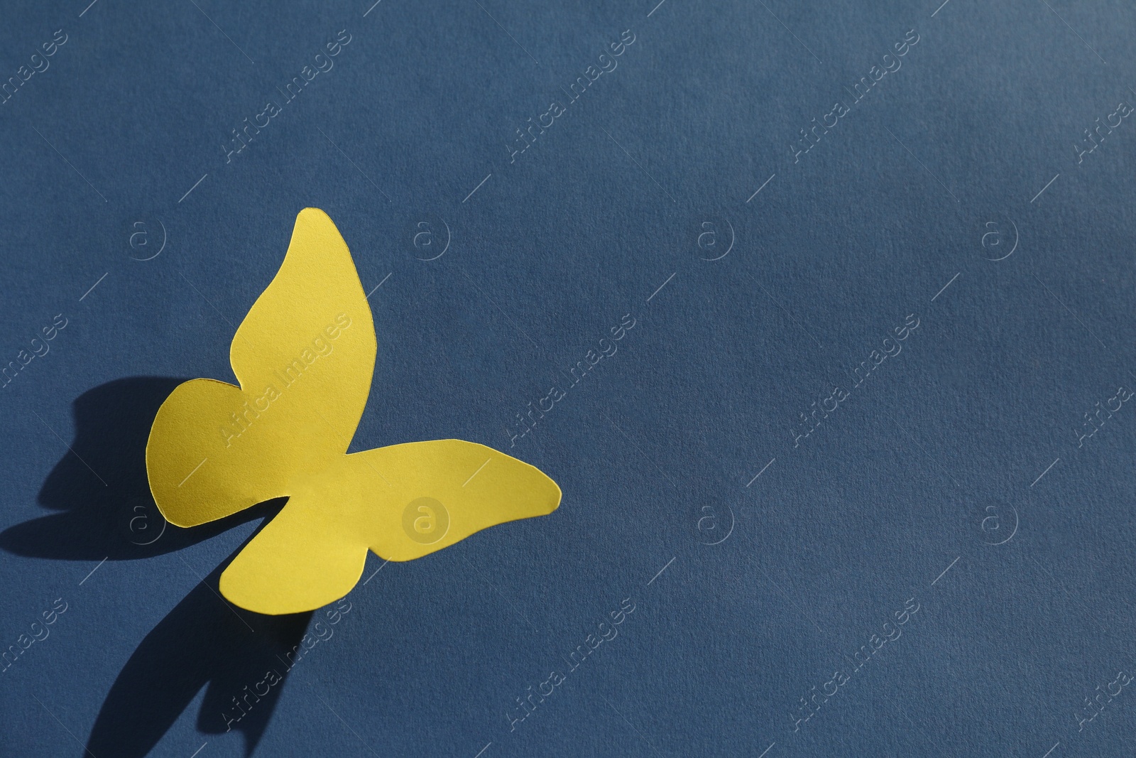 Photo of Yellow paper butterfly on dark blue background, space for text