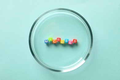 Photo of Word Microbes made with colorful cubes in Petri dish on light blue background, top view
