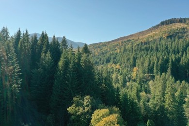 Photo of Beautiful mountains covered with forest on sunny day. Drone photography